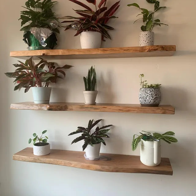 White oak // Heavy-duty Modern Live edge Floating Shelf with a hidden metal bracket